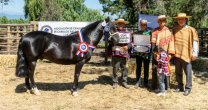 Raza Chilena: Hicimos la previa de la Expo Cauquenes y la presentación de las Amazonas Raza Chilena: Hicimos la previa de la Expo Cauquenes y la presentación de las Amazonas