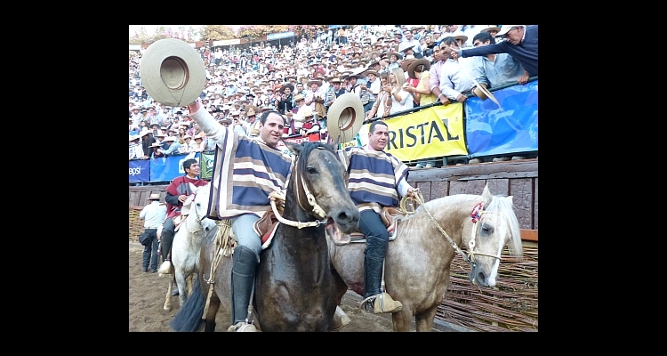 ¡Adiós Peleco Quitralco!