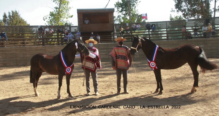 Intruso T.E. y Coquetería descollaron en la Expo Cardenal Caro