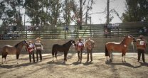 Los Grandes Premios de la Expo Cardenal Caro 2022