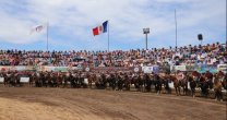 Raza Chilena: Un anticipo de la Expo y Rodeo Para Criadores que harán los Criadores de Malleco Raza Chilena: Un anticipo de la Expo y Rodeo Para Criadores que harán los Criadores de Malleco