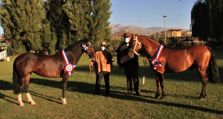 Sospechosa y Lotijuai se quedaron con la victoria en la Expo Los Andes