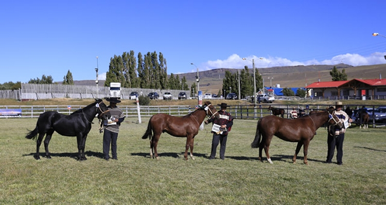 Ultima Esperanza aporta con su exposición al programa de la Fiesta a la Chilena en Torres del Paine