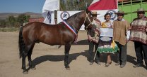 Raza Chilena: Los Criadores de Choapa anticiparon su gran fiesta en Los Vilos Raza Chilena: Los Criadores de Choapa anticiparon su gran fiesta en Los Vilos