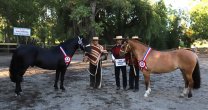 Criadores de Bío Bío y sus visitas se reúnen en Los Angeles con atractivos eventos Criadores de Bío Bío y sus visitas se reúnen en Los Angeles con atractivos eventos