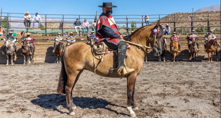 La magnífica Tacaña en Domingo también comienza a brillar en el rodeo