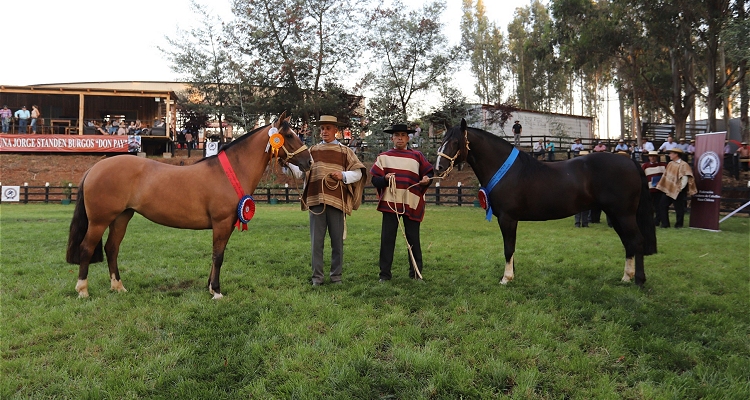 Inscripciones para Expo Nacional, Final de Rodeos Para Criadores y Aparta de Ganado