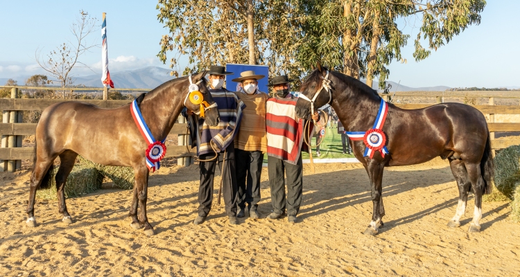 Manta al Hombro y Don Orlando fueron distinguidos como los mejores en la Expo Choapa