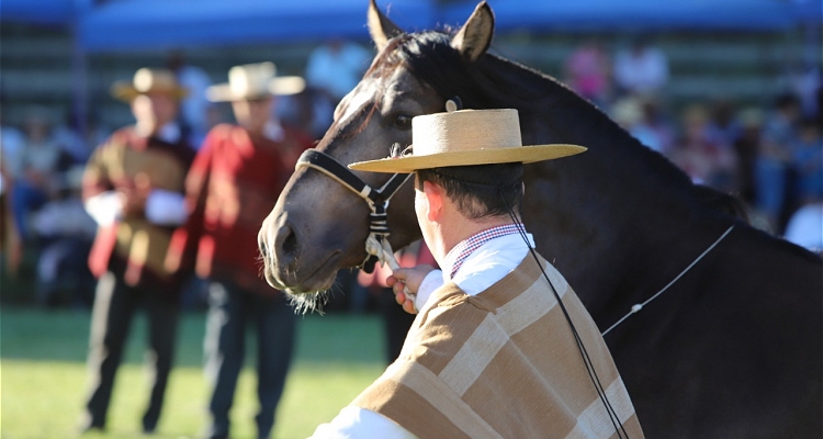 Este es el listado de caballos que competirán en la Expo Nacional 2022