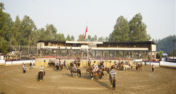 Santiago Sur fue la Asociación de Rodeo más premiada en la Final de Criadores 2022