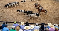 La Aparta de Ganado hizo vibrar nuevamente la Final de Criadores