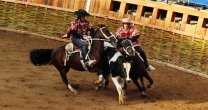 Area Deportiva llamó a jinetes a informarse sobre las normativas de las últimas fechas de la temporada Area Deportiva llamó a jinetes a informarse sobre las normativas de las últimas fechas de la temporada