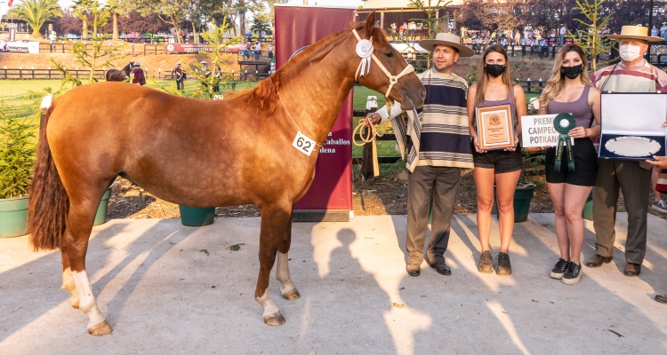 Una Princesa fue la Campeona Potranca en la Exposición Nacional