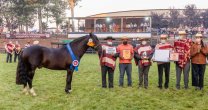 Sebastián Carmona y el triunfo de Don Orlando: Estos premios nos dan más ganas de seguir criando Sebastián Carmona y el triunfo de Don Orlando: Estos premios nos dan más ganas de seguir criando