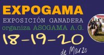 Criadores de Magallanes tendrán su exposición el 20 de marzo