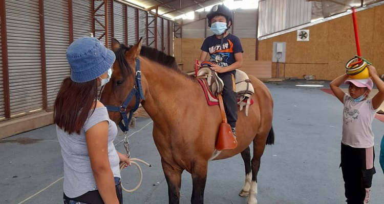 La potente iniciativa de la Fundación Mujeres de Huaso para realizar equinoterapia en Frutillar