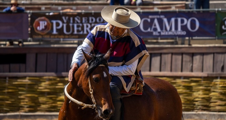 Comisión Técnica ratificó programación de las finales de la Rienda en el Champion de Chile