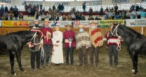 Sólida victoria de Alcalde y Ordóñez: Revisa la Serie de Campeones del Clasificatorio de Osorno Sólida victoria de Alcalde y Ordóñez: Revisa la Serie de Campeones del Clasificatorio de Osorno