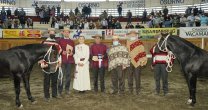 Los mejores momentos de la Serie de Campeones del Clasificatorio Zona Sur Los mejores momentos de la Serie de Campeones del Clasificatorio Zona Sur