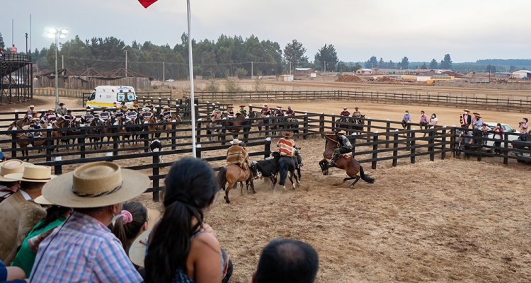 Criadores de Coquimbo, Limarí y Choapa juntan fondos para corral de aparta con una gran rifa