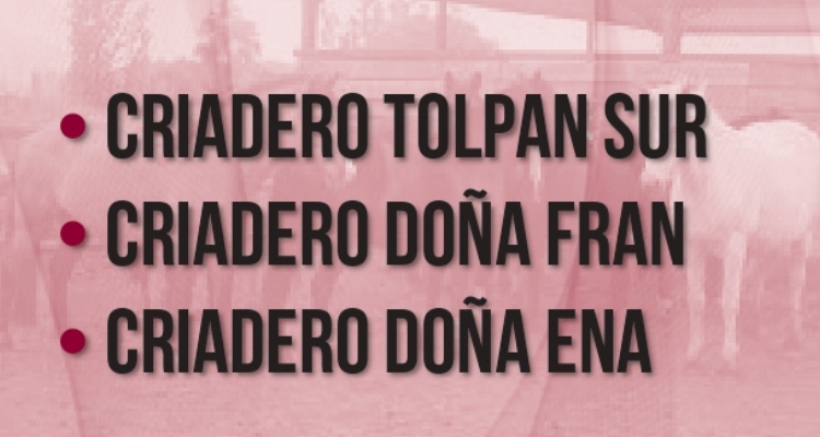Criaderos Tolpán Sur, Doña Fran y Doña Ena tienen remate este miércoles