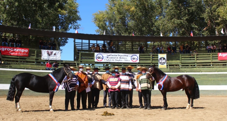 Federación de Criadores y Asociación Talca participaron en exposición realizada por Fenaro