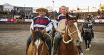 Las cuatro carreras de Palmas de Peñaflor para ganar en Las Rojas Las cuatro carreras de Palmas de Peñaflor para ganar en Las Rojas