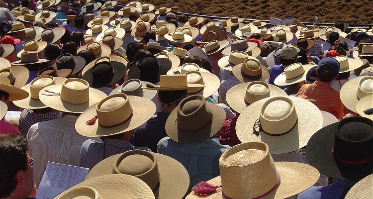 [Previa] Y llegamos al 73° Campeonato Nacional, la gran fiesta de los campos chilenos