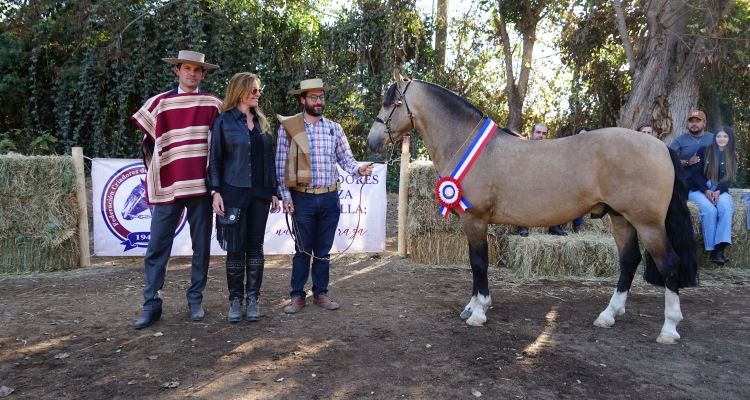 Chico Fachoso y Baronesa impusieron sus cualidades en la Expo Melipilla