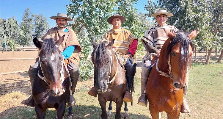 Aldo Zamorano llegó al corral La Espuelita de Lonquén: La Temporada Chica será para ganar experiencia