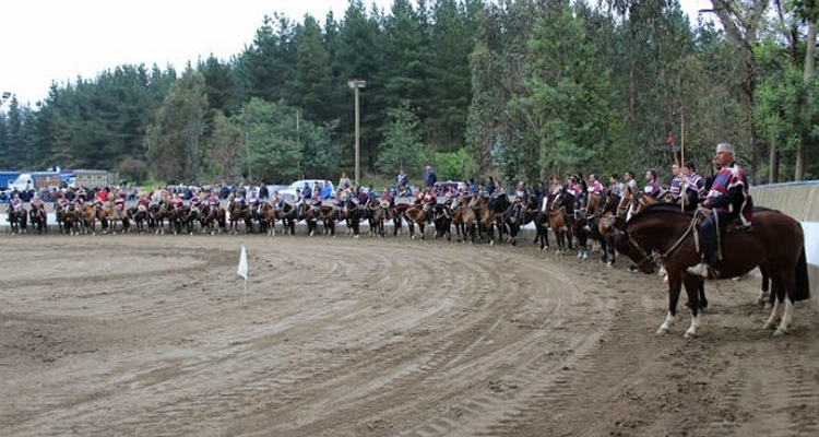 Este fin de semana se correrá el esperado Rodeo Para Criadores de la Asociación Talca