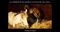 El pasado y el presente se juntan en un nuevo Destacado de la Semana El pasado y el presente se juntan en un nuevo Destacado de la Semana