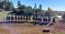 Club de Rodeo Carampangue realizó lanzamiento y vivió el primer ensayo de su flamante Escuadra Ecuestre Club de Rodeo Carampangue realizó lanzamiento y vivió el primer ensayo de su flamante Escuadra Ecuestre