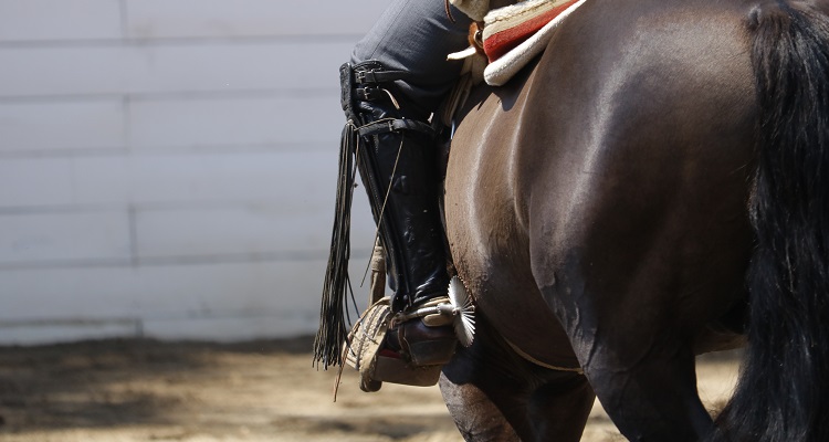 Federación del Rodeo hizo balance de la Temporada Chica: Nuestro deporte sigue creciendo con gran interés