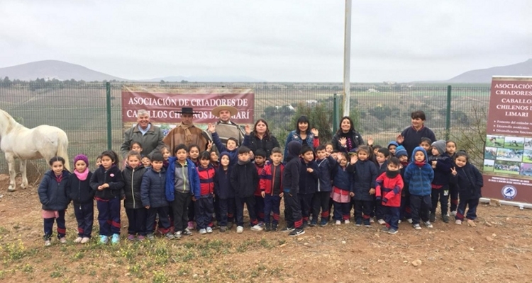 Criadores de Limari planifican Días de Campo y preparan el retorno de