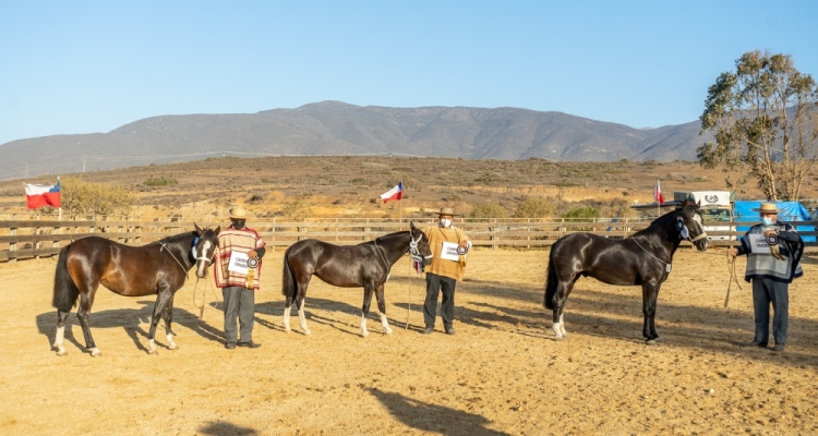 Criadores de Choapa afrontan importante proceso y planean hartas actividades