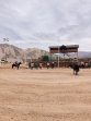 Alfredo y Leopoldo Díaz llevaron sus conocimientos a Atacama