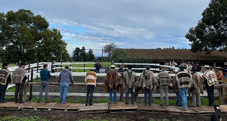 Criadores de Cauquenes disfrutaron de ameno Día de Campo con 