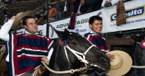 Cuadro de Honor Temporada 2019-2020: Quebradas Tentado fue el Mejor Caballo