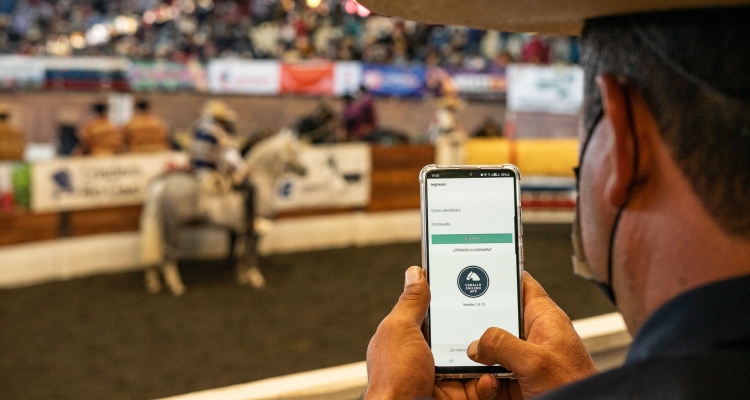 Conoce interesantes detalles del Cuadro de Honor del Rodeo a través de la Caballo Chileno App