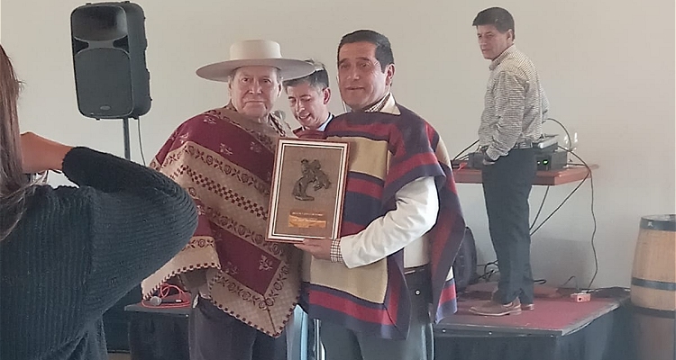 Luis Erico Pacheco, Mejor Jinete Profesional de Valparaíso: