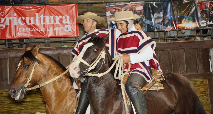 Diego Pacheco, Mejor Jinete de Colchagua: