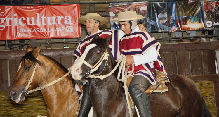 Diego Pacheco, Mejor Jinete de Colchagua: 