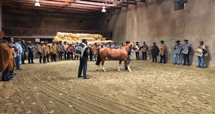 Criadores de Linares disfrutaron de una atractiva visita a Palmas de Peñaflor