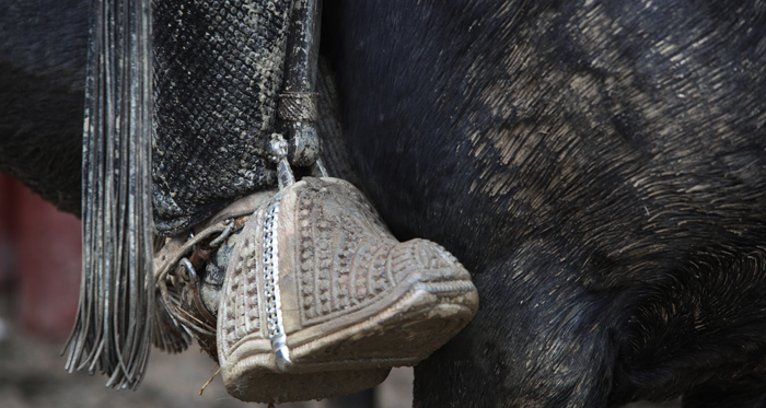 Confederación del Rodeo Chileno tuvo fructífera primera reunión con nuevo directorio de Ferochi