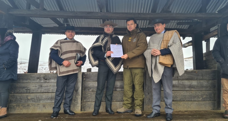 Carabineros de Chile donó caballos a Asociación Aysén: Serán usados en equinoterapia