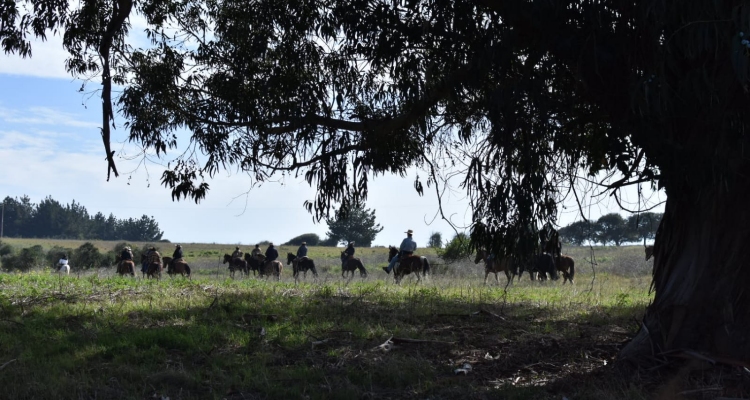 Criadores de Casablanca retornarán a Tricao para su Cabalgata Familiar 2022