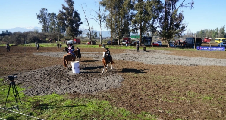 Federación de Criadores trabaja en generar campeonatos para Aparta, Rienda y Barrilete