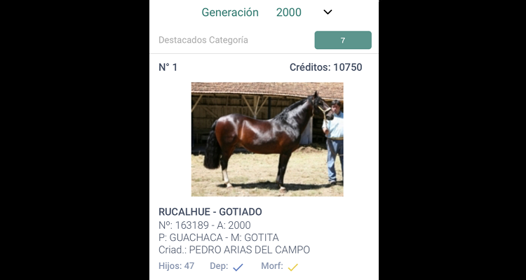 App Caballo Chileno: Conoce la sección 