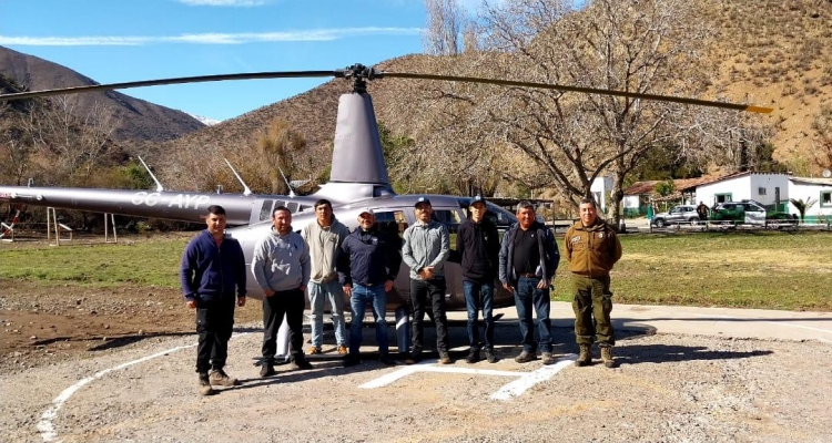 ¡Esto es amor por los animales! La cadena de gestiones para rescatar caballos en la cordillera que tuvo un final feliz